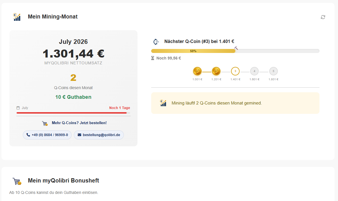 Portalansicht mit Monatsumsatz, gesammelten Punkten, Guthaben, Fortschrittsbalken zur nächsten Stufe und Stufenleiter