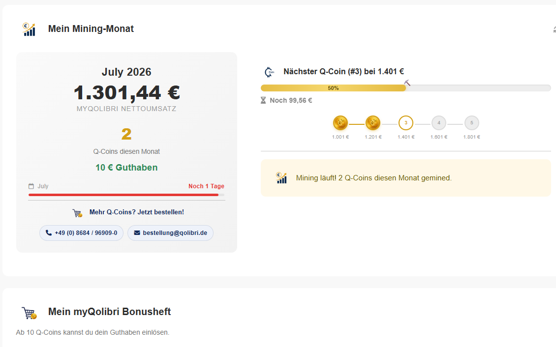 Kundenportal mit Monatsumsatz, gesammelten Punkten und Fortschritt zur nächsten Stufe